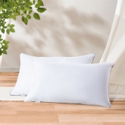 【精选】水星家纺 123033 DH春眠抗菌对枕 48cm*74cm*2 （计价单位：对) 白色